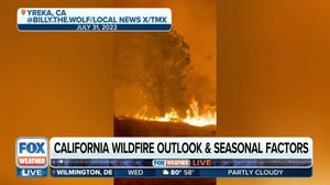 California wildfire season could be one for the books after record winter rain
