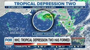 Tropical Depression Two has formed in the Gulf of Mexico