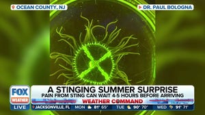 Jersey Shore beachgoers in for a stinging summer surprise