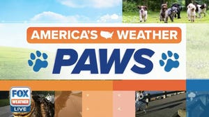 America's Weather Paws | June 3
