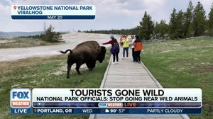 'Don't touch the wildlife' officials say