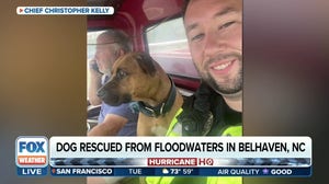 Police chief rescues dog from Ophelia's storm surge