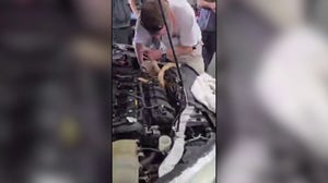 8-foot-long albino boa constrictor found under hood of Ford Focus