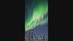 Watch: 'Watermelon' aurora dance over Alaska