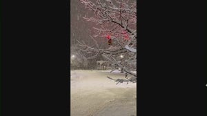Watch: Snow falls in northern New York