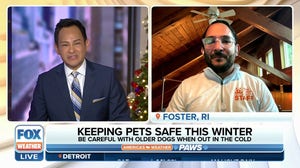 America's Weather Paws: How to keep your pets safe in extreme cold, snow