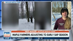 Warmer temperatures bring an early maple syrup season
