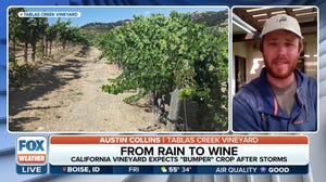 How recent storms are helping California wine producers
