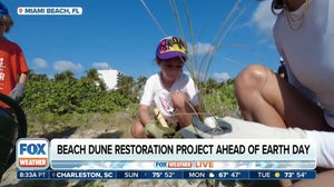 Rebuilding sand dunes for Earth Day