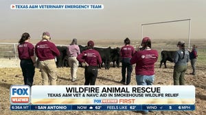 Texas A&M Veterinary Emergency Team receives award for response to Smokehouse Creek Fire