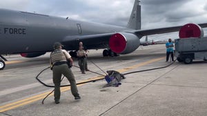 Large alligator tackled on tarmac of Florida Air Force base