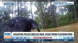 Houston man, 3 dogs rescued from nearly 10 feet of water