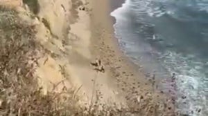 Kite surfer spells out  "HELP" with rocks in California