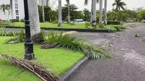 Watch: Hurricane Beryl causes major damage in Montego Bay, Jamaica