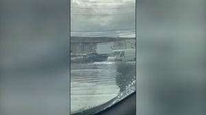 Cars plow through inches of floodwater after heavy rain in New Orleans