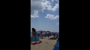 Dragonflies swarm beach in Rhode Island