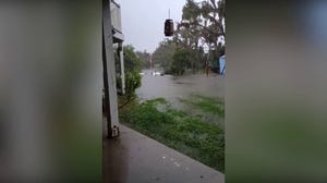 Wind, rain lash Tampa Bay ahead of Tropical Storm Debby
