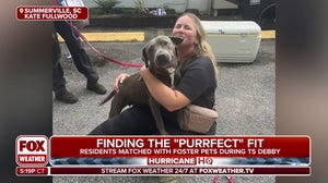 Nearly 300 animals evacuated ahead of impacts from Tropical Storm Debby in South Carolina