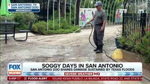 San Antonio Zoo reopens after flooding damage