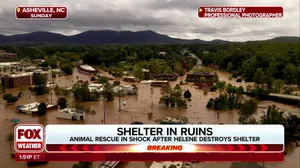 Asheville shelter races to save over 100 animals ahead of devastating flooding from Helene