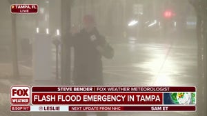 Torrential rains, hurricane-force winds slam Tampa area from Milton