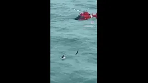 Watch: Coast Guard rescues man floating in ocean miles off Longboat Key, Florida