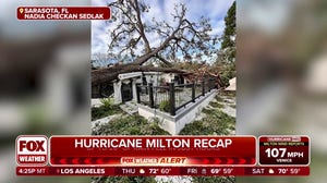 Tree slams into Sarasota home during Hurricane Milton