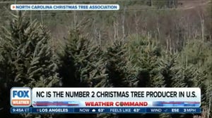 North Carolina Christmas tree industry working to get back on its feet after Helene