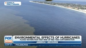 Satellite data shows rising threat of red tide for Florida Gulf Coast