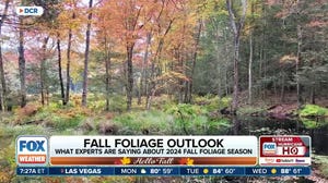 There's still time to see fall foliage in the Northeast this season