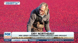 New Jersey cranberry farmers struggle amid worst drought they've ever seen