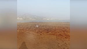 Spanish beach filled with debris after devastating floods