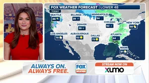 Weather in America: November 19, 2024