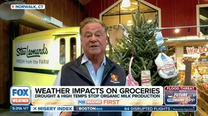 How the 2024 Hurricane Season has impacted grocery store supply