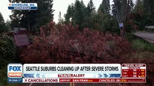 Seattle area cleans up after bomb cyclone caused widespread damage