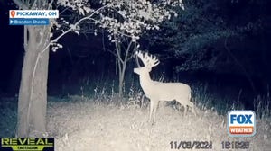 Ohio hunter bags monster 20-point buck after years of pursuit