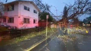 Atmospheric River brings down trees and power lines in Santa Rosa, CA.