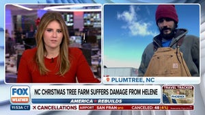 North Carolina Christmas tree farm suffers damage from Helene