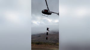 Endangered Bighorn sheep take a ride in the sky on voyage to new home in Texas