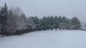 Watch: Snow falls on wintry landscape in West Virginia