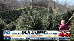 Trees for Troops provides Christmas trees for military bases