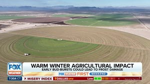 How winter weather affects farmers and their crops