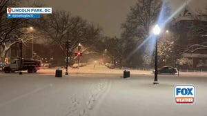 Fresh snow in Lincoln Park during 2025's first major winter storm