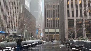 New York City turned picturesque with snow