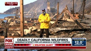 Malibu devastated by urban firestorm wreaking havoc on Southern California