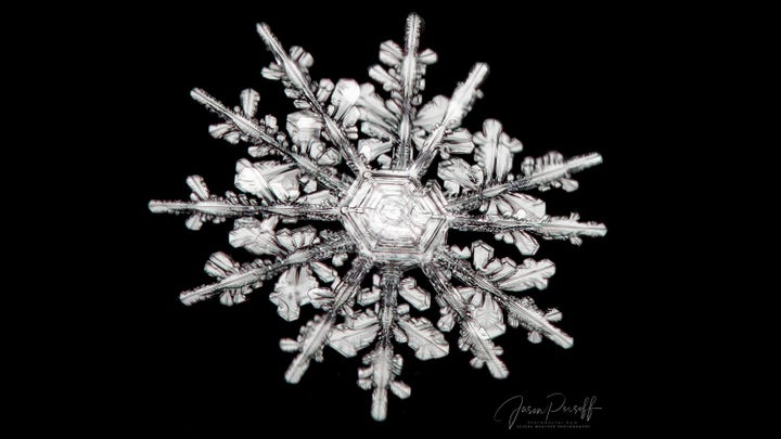 MORPH8NE / Snowflakes [Morph8ne × Qooza] QOOZAラフォーレ原宿店 on X: 