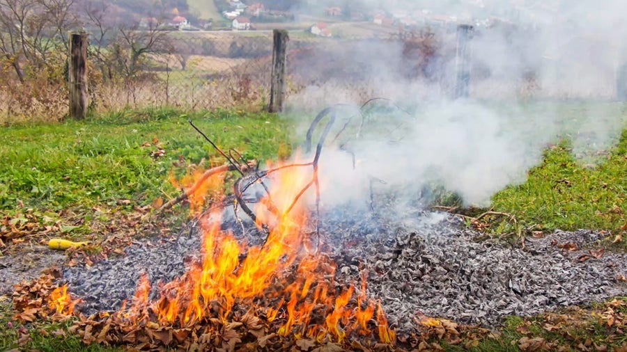 Thinking about burning those leaves? Don't.