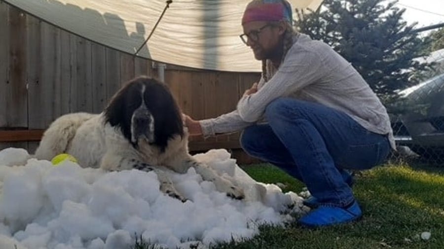 Dying dog gets one last snow day thanks to local ice center