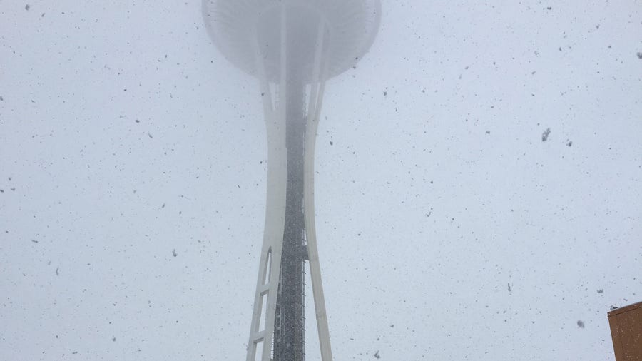 Large Snowflakes in Seattle