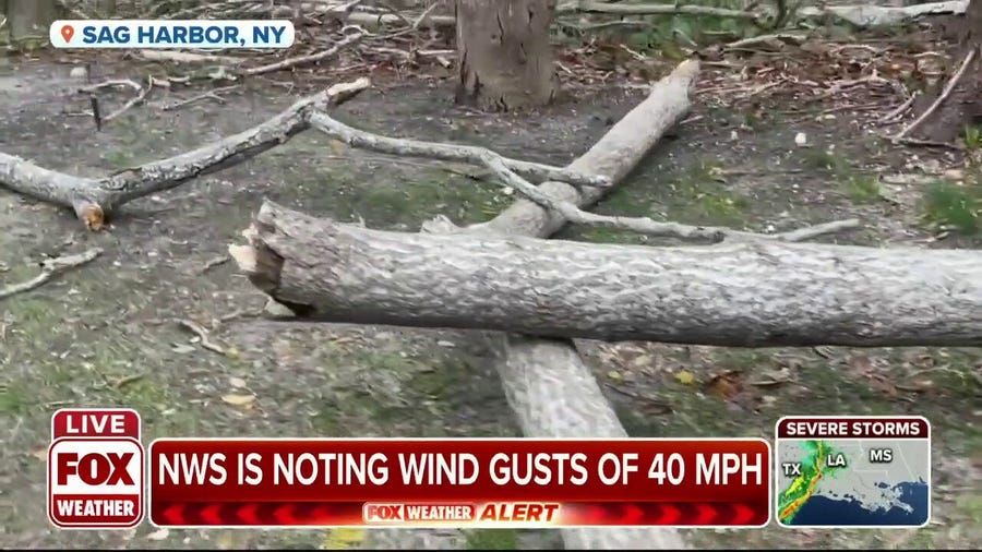 Strong wind gusts reported on Long Island during nor'easter
